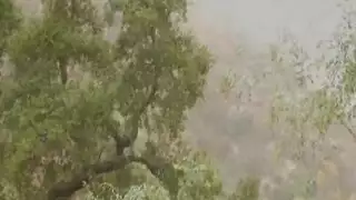 جميلة جنوبية ممتلئة تمارس جنس عنيف وتنتهي بالقذف الداخلي