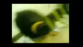 فضيحه حقيقي مصري