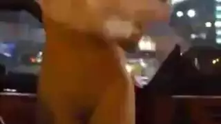 عرض كام إباحي: خلع الملابس الداخلية وكلام جنسي صريح