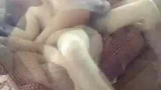 حركة جنسية كلبية برية