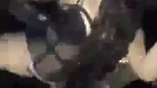 عرض في البار يتحول إلى حفلة نيك مزدوج