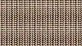 الإيطالي الثدي الطبيعية الكبيرة اول مرة