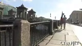 جنس حيوانات إكس إكس إكس: تزاوج كلاب مع إناث