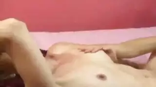 ذيل حصان شيلي خجول