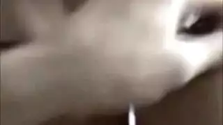 مراهقة مثيرة تكشف عن نفسها من أجل متعة صريحة