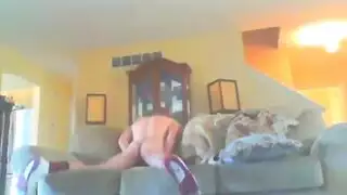 بديع حمار طقوس العربدة